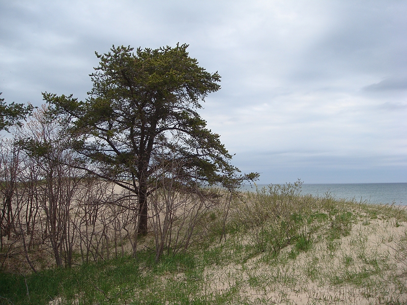 331 Memorial Day [2008 May 23].JPG - Scenes from Whitefish Point on Lake Superior in the Michigan Upper Peninsula.